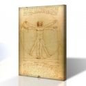 Vitruvius Adamı - Leonardo Da Vinci Kanvas Tablo