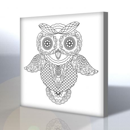 Baykuş Boyama Tablosu (Mandala Tablosu)