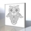 Baykuş Boyama Tablosu (Mandala Tablosu)