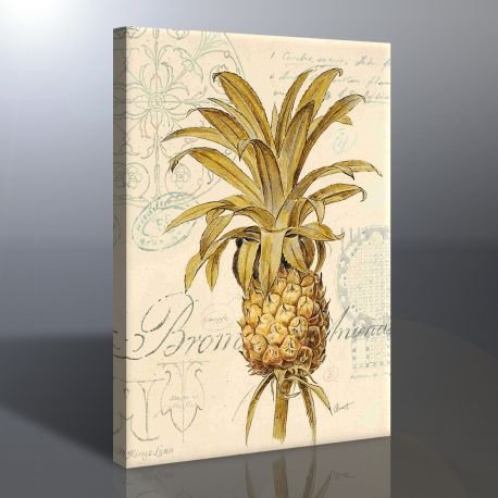 Ananas Kanvas Tablo