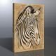 Zebra Kanvas Tablo