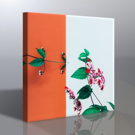 Minimalist Çiçek Kanvas Tablo