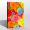 Şemsiyeler Minimalist Kanvas Tablo
