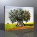 Ağaç Kanvas Tablo