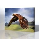 Kartal/Rene Rodriguez Kanvas Tablo