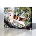 Kedi Kanvas Tablo