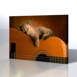 Gitar ve Kedi Kanvas Tablo
