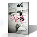 J'Aime Paris Kanvas Tablo