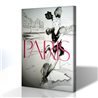 J'Aime Paris Kanvas Tablo