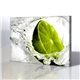 Limon Kanvas Tablo