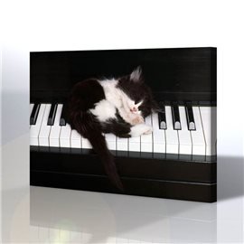 Piyano Kanvas Tablo