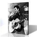 Elvıs Presley Kanvas Tablo