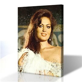 Türkan Şoray Kanvas Tablo