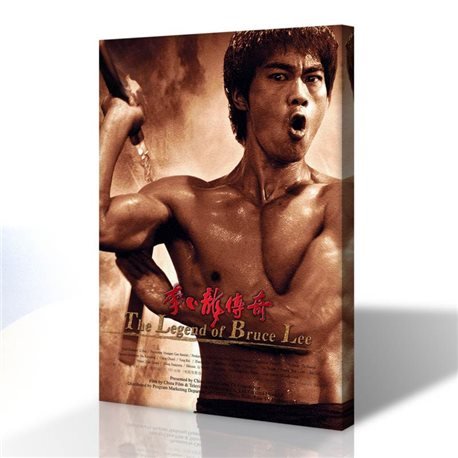 Bruce Lee Kanvas Tablo