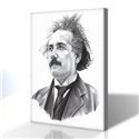 Einstein Kanvas Tablo