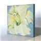 Zambak Kanvas Tablo