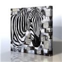 Zebra Kanvas Tablo