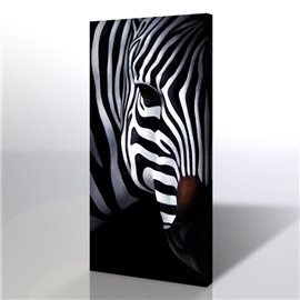 Zebra Kanvas Tablo