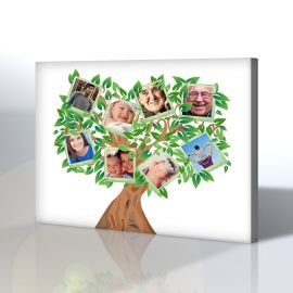 Aile ağacı