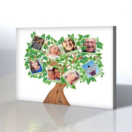 Aile ağacı